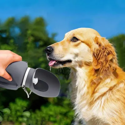 Bouteille d'Eau Voyage PetTribes 800ml Pliable Anti-Fuite Chien Bouteille d'Eau Voyage PetTribes 800ml Pliable Anti-Fuite Chien