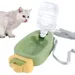 MCBOSON Tragbare Wasserflasche für Tiere Karottenform 450 ml mit Tragegurt