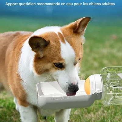 FurryFusion Biberon-portable pour chien avec réserve de nourriture FurryFusion Biberon-portable pour chien avec réserve de nourriture