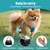 PetTribes Gourde Portable Animaux 285ml, Abreuvoir Silicone Pliable Étanche PetTribes Gourde Portable Animaux 285ml, Abreuvoir Silicone Pliable Étanche