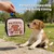 PetTribes Sac à Friandises Dressage Chien, Portable à Main, Pour Promenade PetTribes Sac à Friandises Dressage Chien, Portable à Main, Pour Promenade