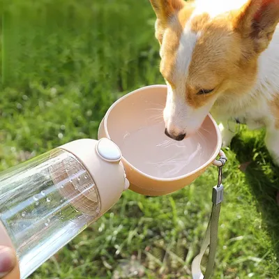 FurryFusion Goblet d'eau pour chiens en déplacement