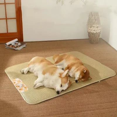 PetTribes Doppelseitige Kühlmatte aus Rattan