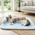 HausPets Kühlmatte für Hunde und Katzen, mit U-förmigem Kissen 55 x 40 cm