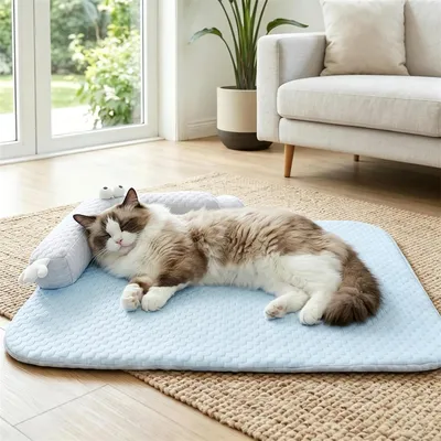 HausPets Kühlmatte für Hunde und Katzen, mit U-förmigem Kissen 55 x 40 cm