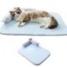 HausPets Kühlmatte für Hunde und Katzen, mit U-förmigem Kissen 55 x 40 cm