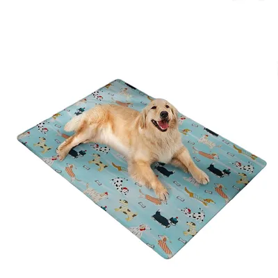 HausPets Tapis Rafraîchissant pour Chats et Chiens, 50x70cm Bleu HausPets Tapis Rafraîchissant pour Chats et Chiens, 50x70cm Bleu