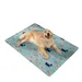 HausPets Kühlmatte für Katzen und Hunde, 50 x 70 cm Blau