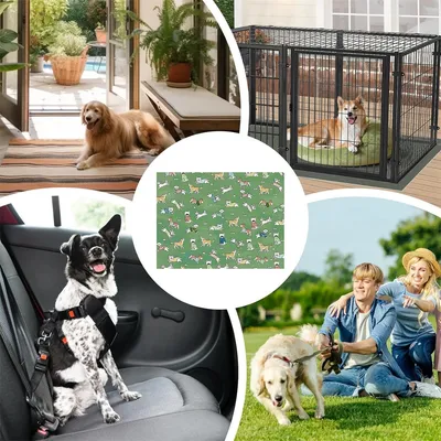 HausPets Tapis Rafraîchissant pour Chats et Chiens, 50x70cm Bleu HausPets Tapis Rafraîchissant pour Chats et Chiens, 50x70cm Bleu