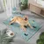 HausPets Tapis Rafraîchissant pour Chats et Chiens, 50x70cm Bleu HausPets Tapis Rafraîchissant pour Chats et Chiens, 50x70cm Bleu