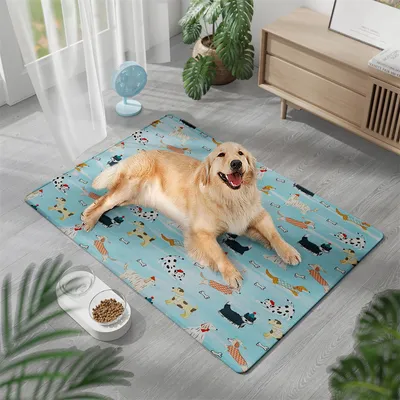 HausPets Tapis Rafraîchissant pour Chats et Chiens, 50x70cm Bleu HausPets Tapis Rafraîchissant pour Chats et Chiens, 50x70cm Bleu