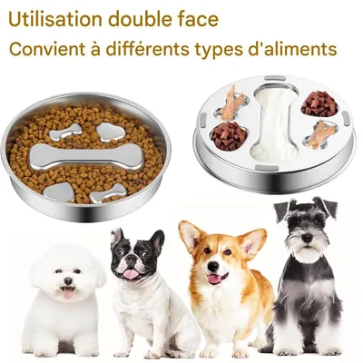 FurryFusion Gamelle anti - glouton en acier inoxydable pour chien FurryFusion Gamelle anti - glouton en acier inoxydable pour chien