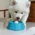 FurryFusion Bol lente pour chien avec fonctionnalité de cache - nourriture FurryFusion Bol lente pour chien avec fonctionnalité de cache - nourriture