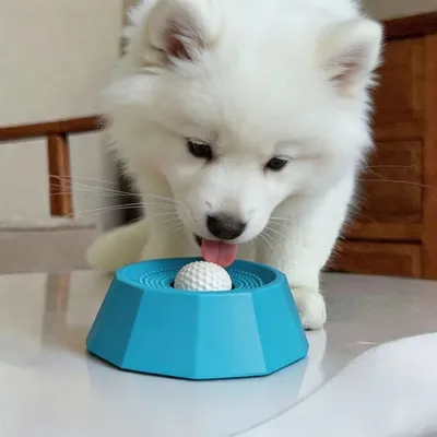 FurryFusion Bol lente pour chien avec fonctionnalité de cache - nourriture FurryFusion Bol lente pour chien avec fonctionnalité de cache - nourriture
