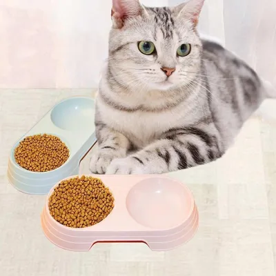 ZooVenture Bol Double Compartiment Chat Chien Rose ZooVenture Bol Double Compartiment Chat Chien Rose
