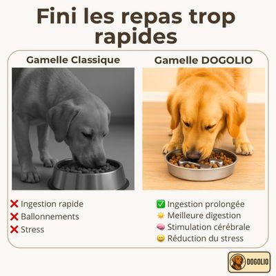 Zoomtopia Gamelle anti-glouton chien acier inox 304 slow feeder 22cm
