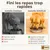 Zoomtopia Gamelle anti-glouton chien acier inox 304 slow feeder 22cm Zoomtopia Gamelle anti-glouton chien acier inox 304 slow feeder 22cm