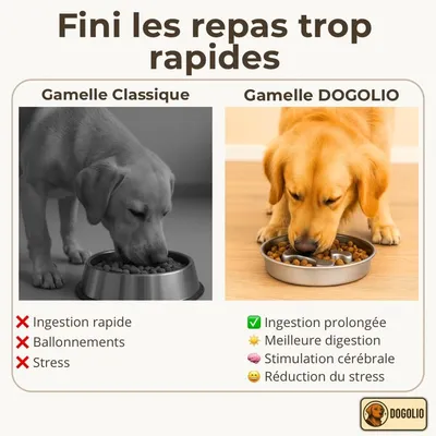 Zoomtopia Gamelle anti-glouton chien acier inox 304 slow feeder 22cm Zoomtopia Gamelle anti-glouton chien acier inox 304 slow feeder 22cm