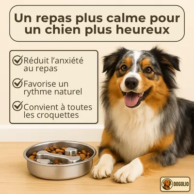 Zoomtopia Gamelle anti-glouton chien acier inox 304 slow feeder 22cm Zoomtopia Gamelle anti-glouton chien acier inox 304 slow feeder 22cm