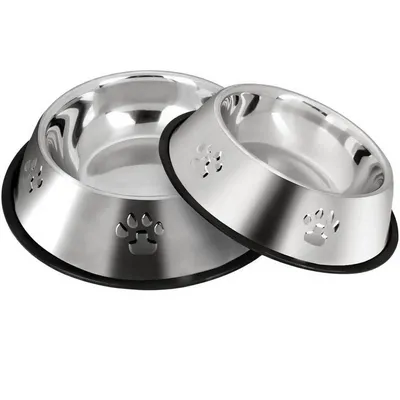 PetTribes Gamelle Acier Inoxydable Antidérapante Animaux (15cm/Lot de 2)