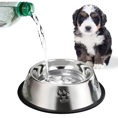 PetTribes Gamelle Acier Inoxydable Antidérapante Animaux (15cm/Lot de 2)