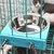 ZooVenture Bol Suspendu Cage Chat Chien Oiseau Inox
