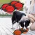 PetTribes Gamelles Pliables Voyage 2x450ml Silicone Rouge PetTribes Gamelles Pliables Voyage 2x450ml Silicone Rouge