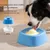 FurryFusion Bol sphérique anti - glissement pour chien à l'usage lent