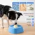 FurryFusion Bol sphérique anti - glissement pour chien à l'usage lent