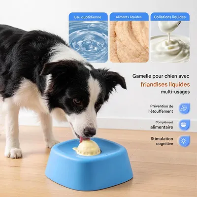 FurryFusion Bol sphérique anti - glissement pour chien à l'usage lent