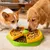 FurryFusion Gamelle anti - glouton double pour chien et chat