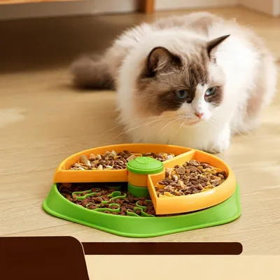 FurryFusion Gamelle anti - glouton double pour chien et chat