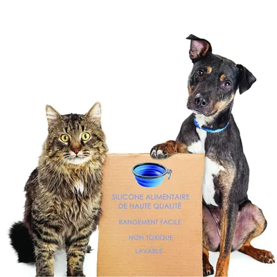 PetTribes Bol Silicone Pliable Voyage Chat Chien Crochet Anti-dérapant PetTribes Bol Silicone Pliable Voyage Chat Chien Crochet Anti-dérapant