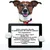 PetTribes Bol Silicone Pliable Voyage Chat Chien Crochet Anti-dérapant PetTribes Bol Silicone Pliable Voyage Chat Chien Crochet Anti-dérapant