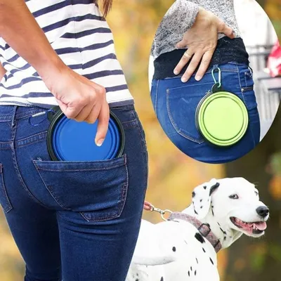 PetTribes Bol Silicone Pliable Voyage Chat Chien Crochet Anti-dérapant PetTribes Bol Silicone Pliable Voyage Chat Chien Crochet Anti-dérapant