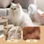 FurryFusion Peigne pour animaux de compagnie avec pulvérisateur FurryFusion Peigne pour animaux de compagnie avec pulvérisateur