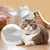 FurryFusion Peigne pour animaux de compagnie avec pulvérisateur FurryFusion Peigne pour animaux de compagnie avec pulvérisateur