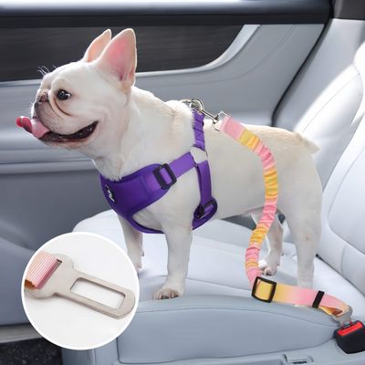 FurryFusion Ceinture de sécurité pour chien