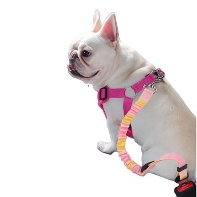 FurryFusion Ceinture de sécurité pour chien