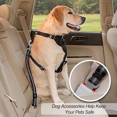 ZooVenture Ceinture Sécurité Chien Voiture Nylon
