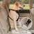 ZooVenture Sicherheitsgurt für Hunde im Auto ZooVenture Sicherheitsgurt für Hunde im Auto