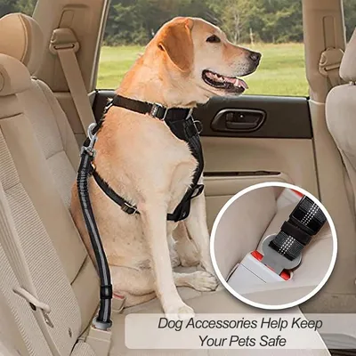 ZooVenture Sicherheitsgurt für Hunde im Auto ZooVenture Sicherheitsgurt für Hunde im Auto