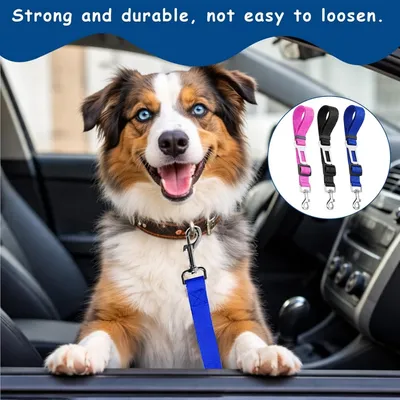 ZooVenture Auto-Sicherheitsgurt für Hunde – 3 Stück ZooVenture Auto-Sicherheitsgurt für Hunde – 3 Stück