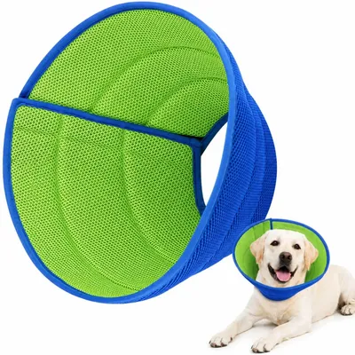 HausPets Collier d'Élisabeth pour chiens et chats HausPets Collier d'Élisabeth pour chiens et chats