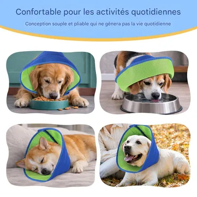 HausPets Collier d'Élisabeth pour chiens et chats HausPets Collier d'Élisabeth pour chiens et chats