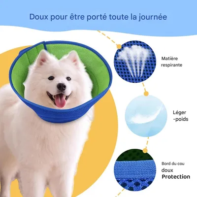HausPets Collier d'Élisabeth pour chiens et chats HausPets Collier d'Élisabeth pour chiens et chats
