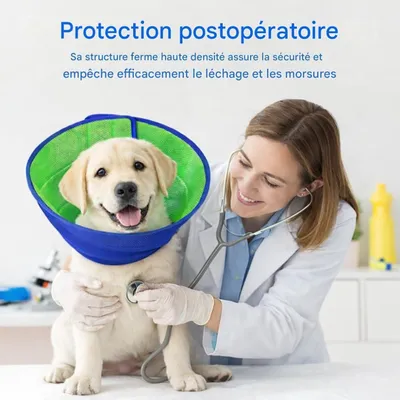 HausPets Collier d'Élisabeth pour chiens et chats HausPets Collier d'Élisabeth pour chiens et chats