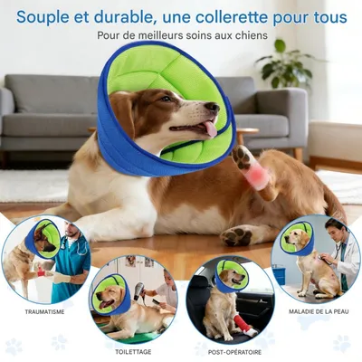 FurryFusion Collier de protection pour chats et chiens