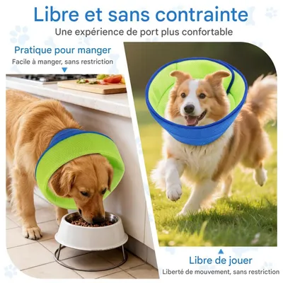 FurryFusion Collier de protection pour chats et chiens