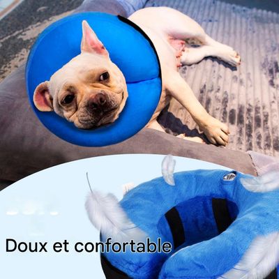 FurryFusion Collier gonflable pour chien et chat anti-morsure
